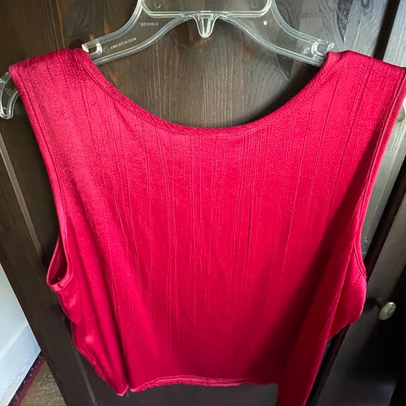 PRICE DROP! Shimmery, Stylish Tops for Fall /Holidays - Set of 2! - Picture 5 of 16